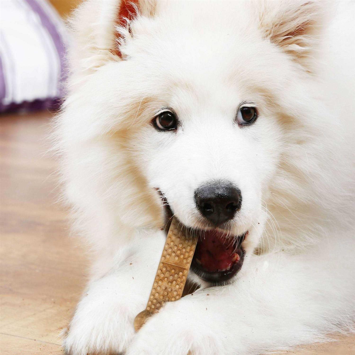 Nylabone Natural Nubz Peanut Butter Flavor Large Dog Chews - Nail Gallerys