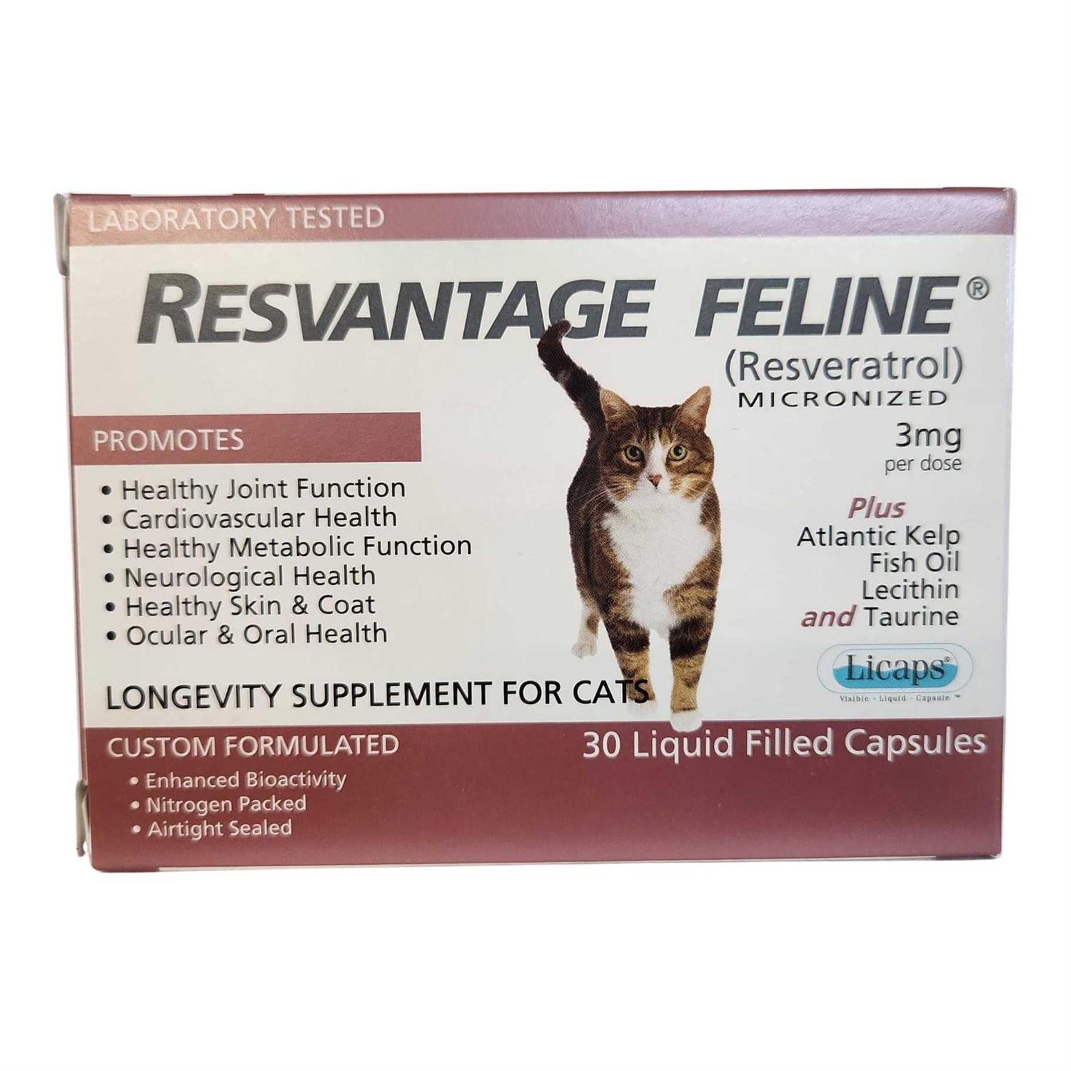 Resvantage Feline - Nail Gallerys