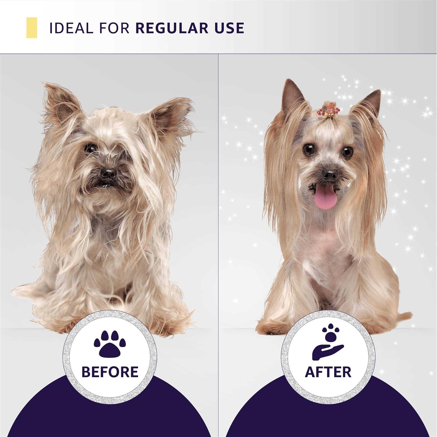 Hydra Professional Experience Set, cat and Dog grooming Shampoo, conditioner, and Sprays, Dog and cat grooming Supplies - Nail Gallerys