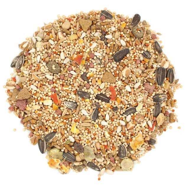 Sunseed Vita Prima Cockatiel & Lovebird Food - Nail Gallerys