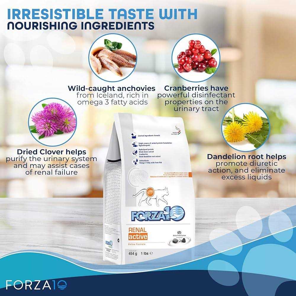 Forza10 Active Kidney Renal Support Diet Dry Cat Food - Nail Gallerys