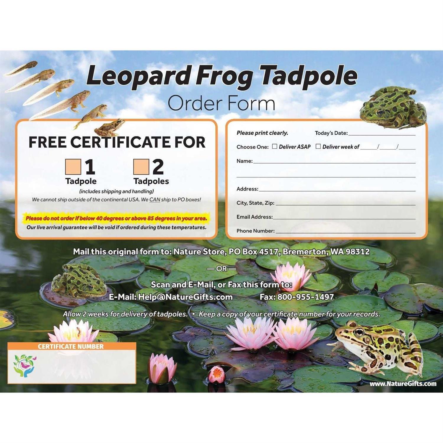 Frog Growing Kit 1-Gallon Habitat with 1 Free Tadpole - Nail Gallerys