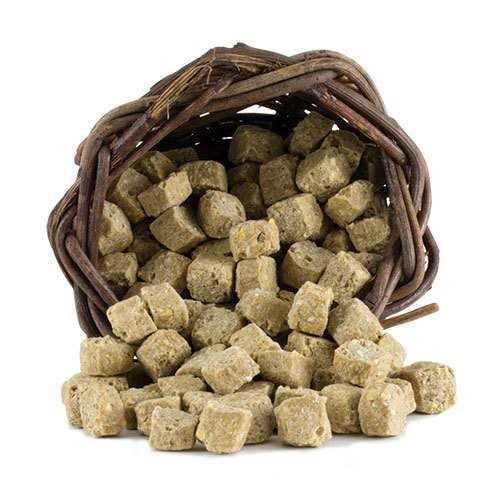 Adult Lifetime Coarse - Nail Gallerys