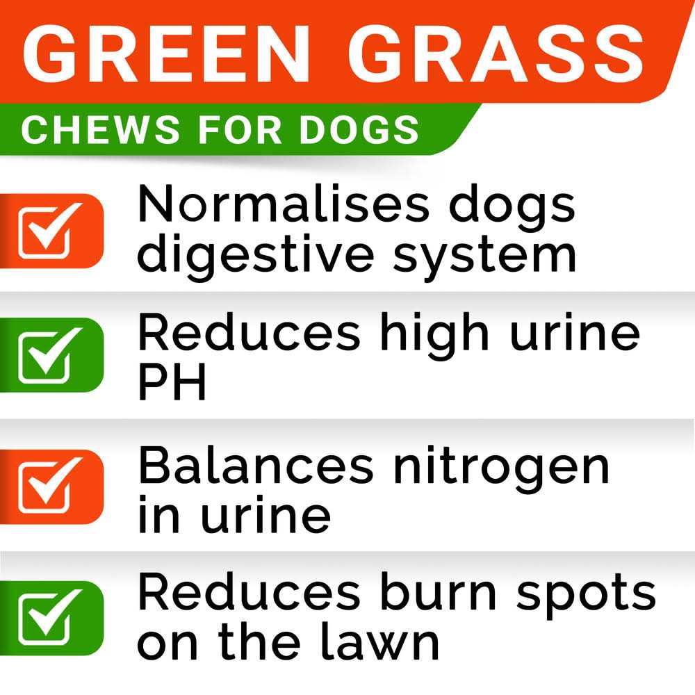 StrellaLab Grass Burn Spot Chews for Dogs - Nail Gallerys
