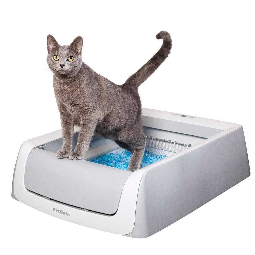 PetSafe ScoopFree Self-Cleaning Cat Litter Box - Nail Gallerys