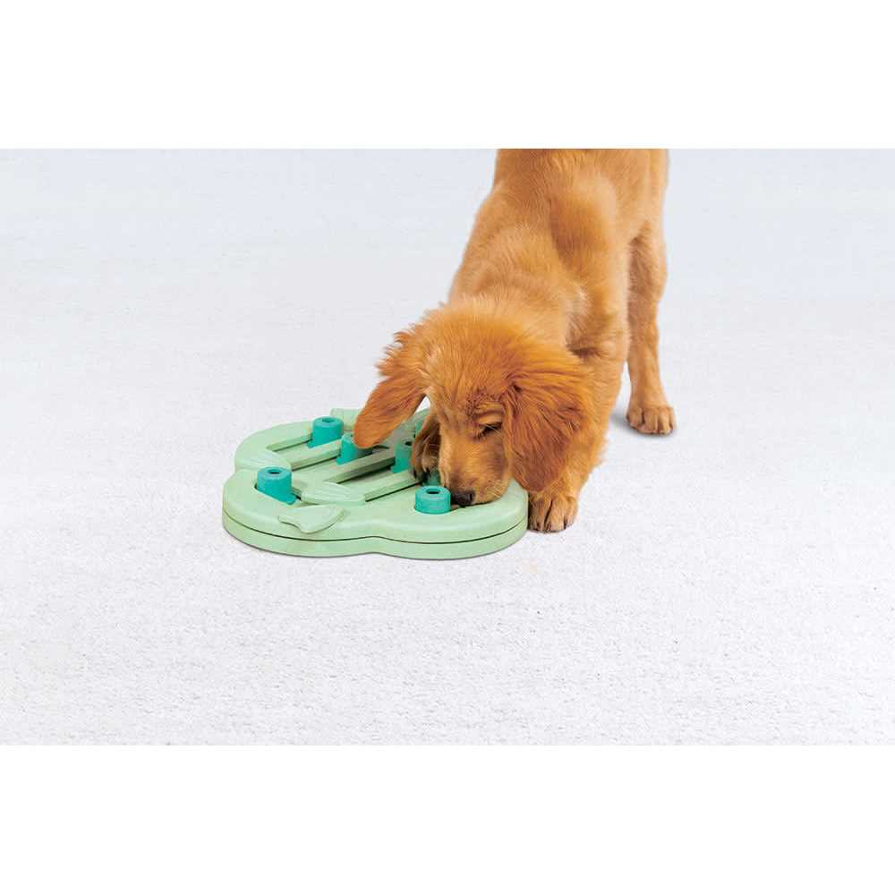 Outward Hound Puppy Hide N’ Slide Interactive Treat Puzzle Dog Toy - Nail Gallerys