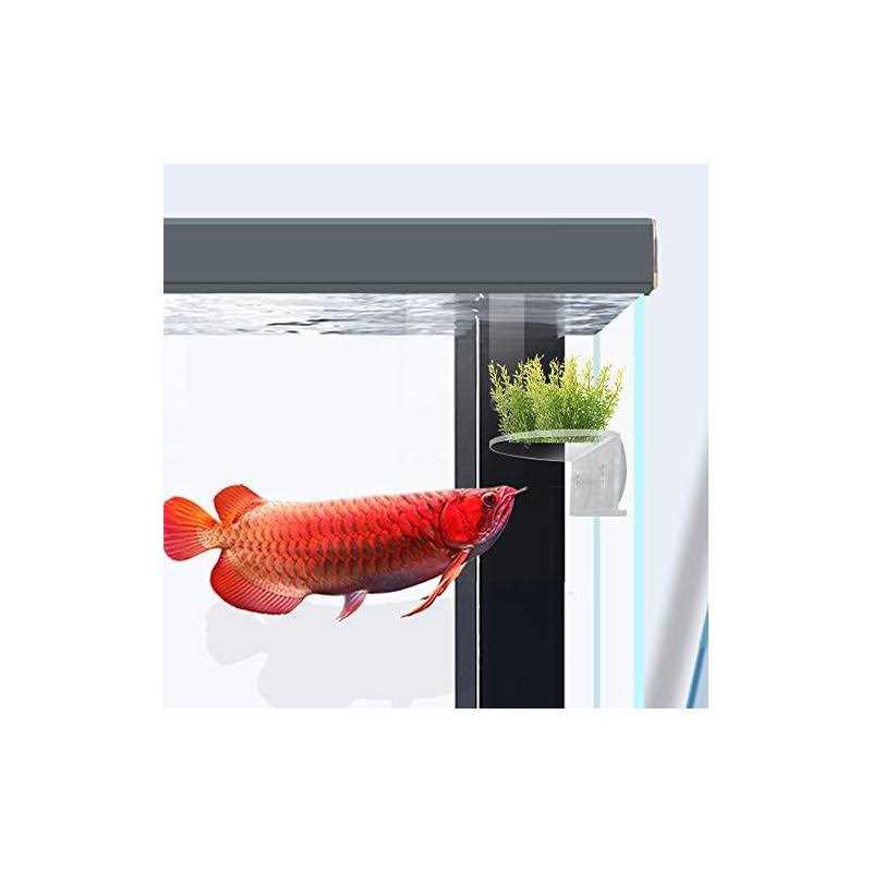 2Pack Aquarium Shelf,Transparent Acrylic Ledge Plants Holder for Substrate and Live Plants,with Strong Suction Cups for Fish Tank Multi-Layer - Nail Gallerys