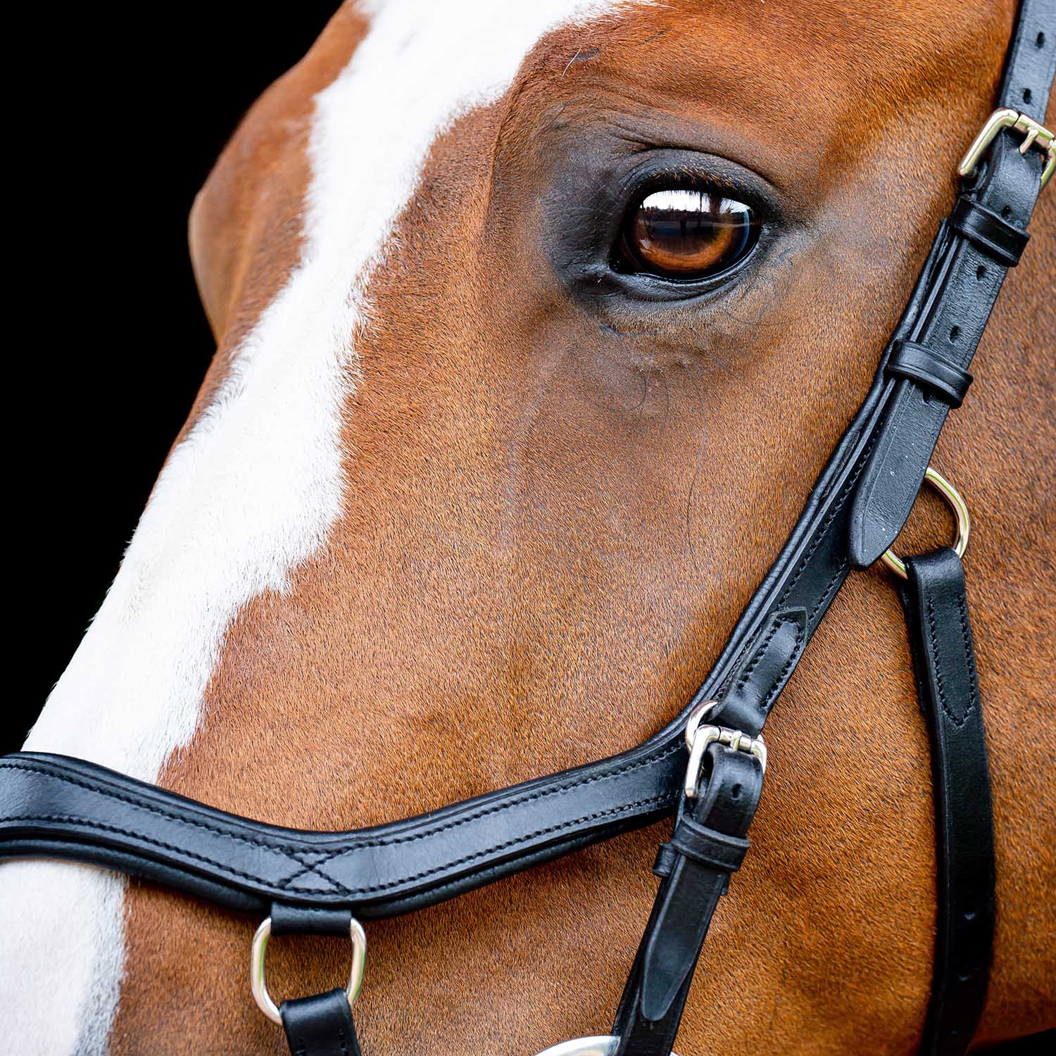 Micklem 2.0 Competition Bridle, Black - Nail Gallerys