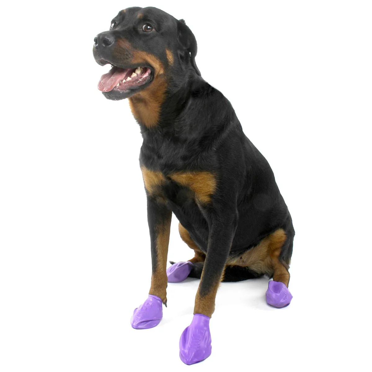 PawZ Dog Boots, 12 pk - Nail Gallerys