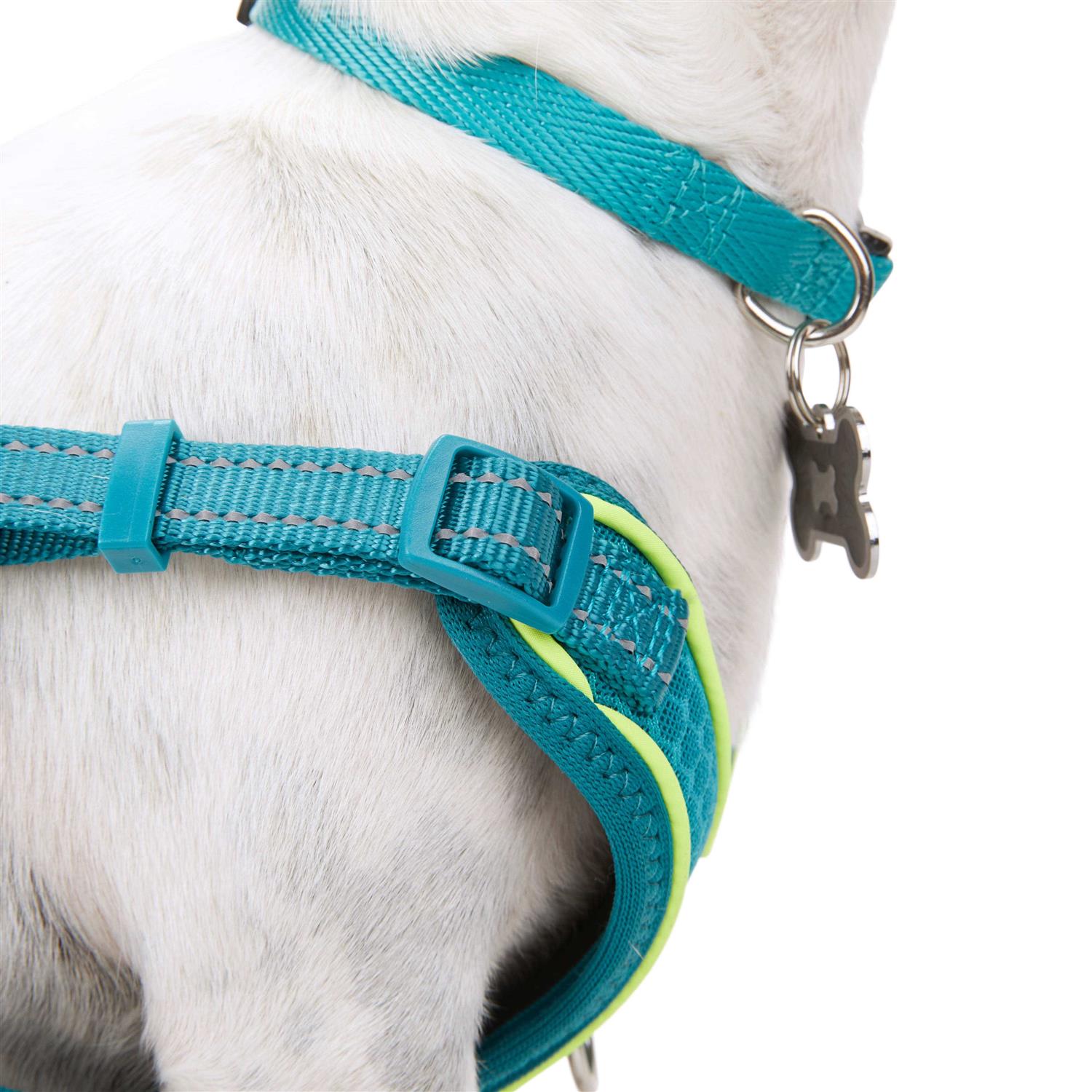 EveryYay Embrace The Pace Reflective Dog Harness - Nail Gallerys