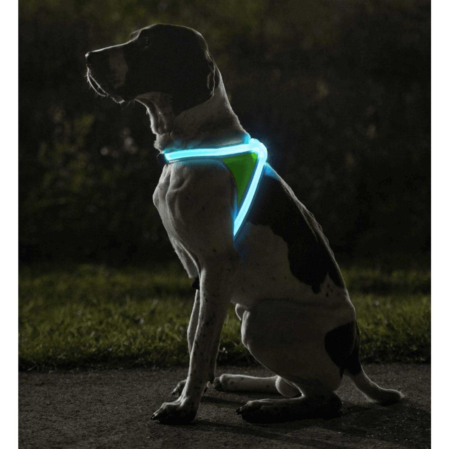 Noxgear LightHound LED Illuminated & Reflective Dog Harness - Nail Gallerys
