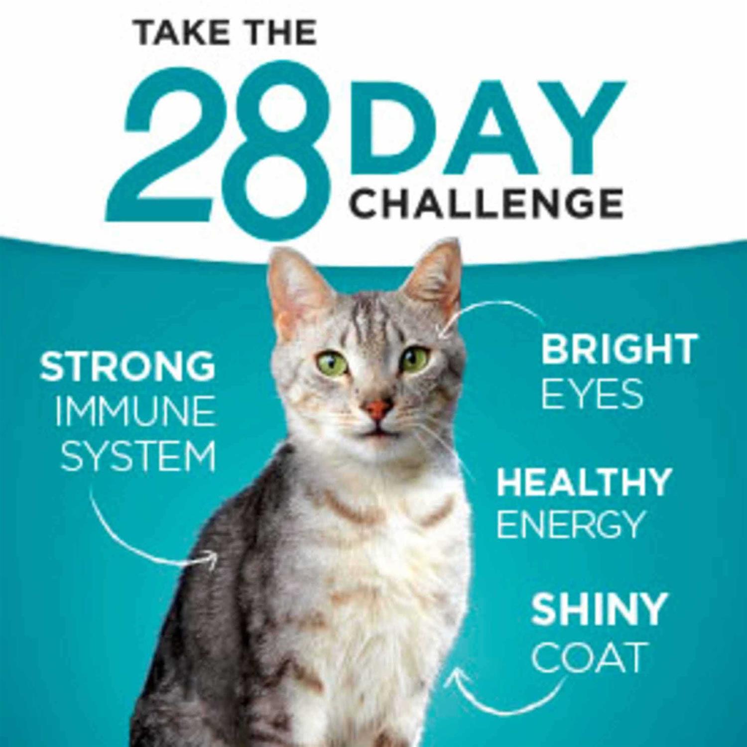 Purina One Indoor Advantage Natural Cat Food Ocean Whitefish & Rice - Nail Gallerys