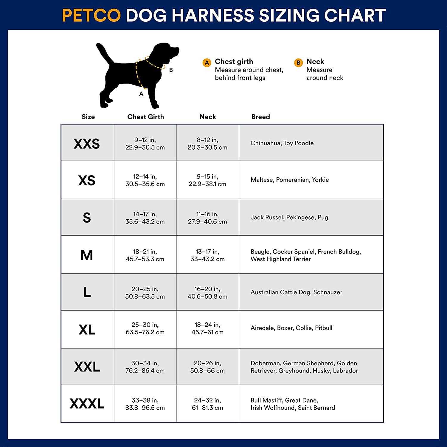 Reddy Small Dog Harness - Nail Gallerys