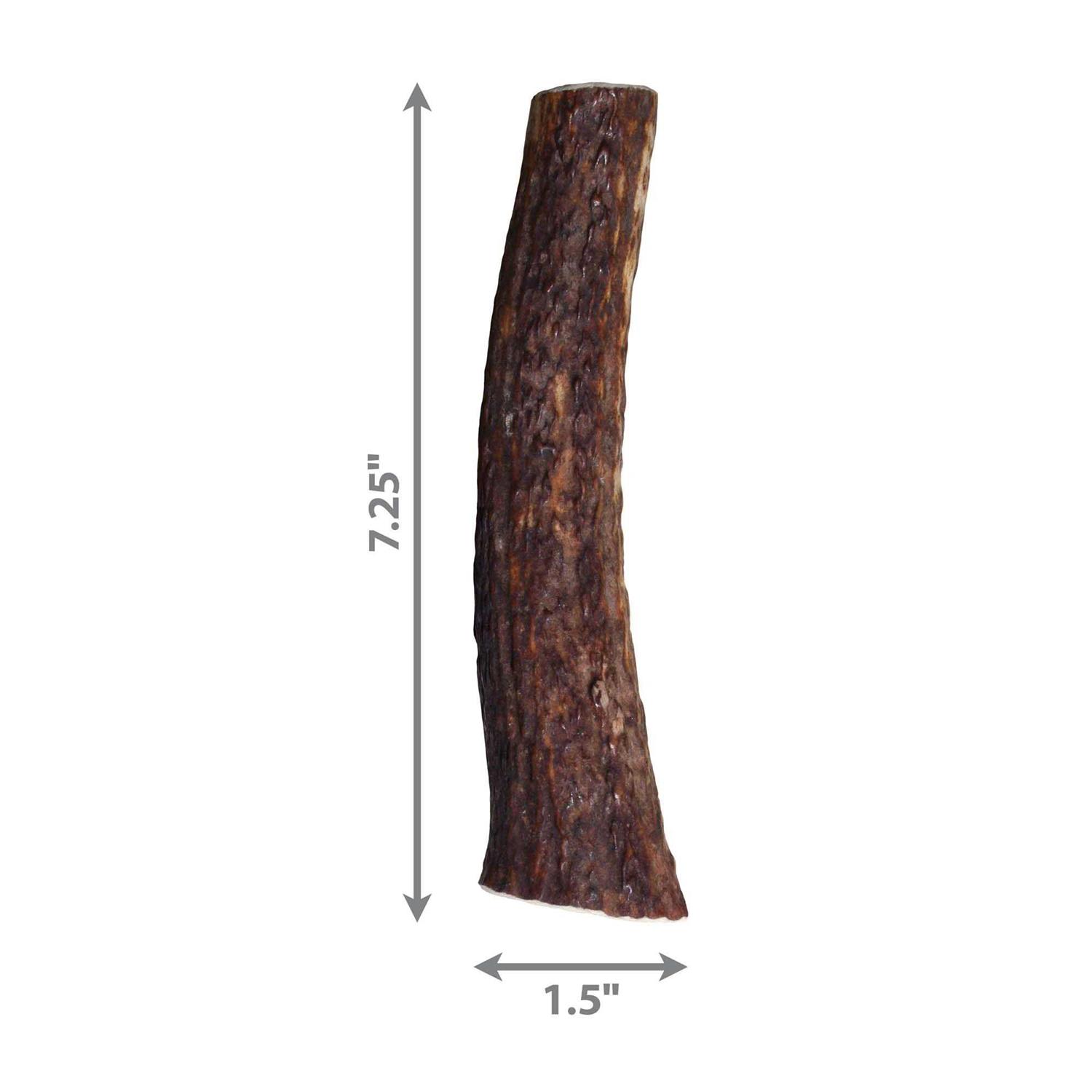 Kong Whole Wild Elk Antler - Nail Gallerys