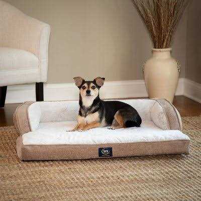 Serta XL Luxury Sleeper Sofa Pet Bed - Nail Gallerys