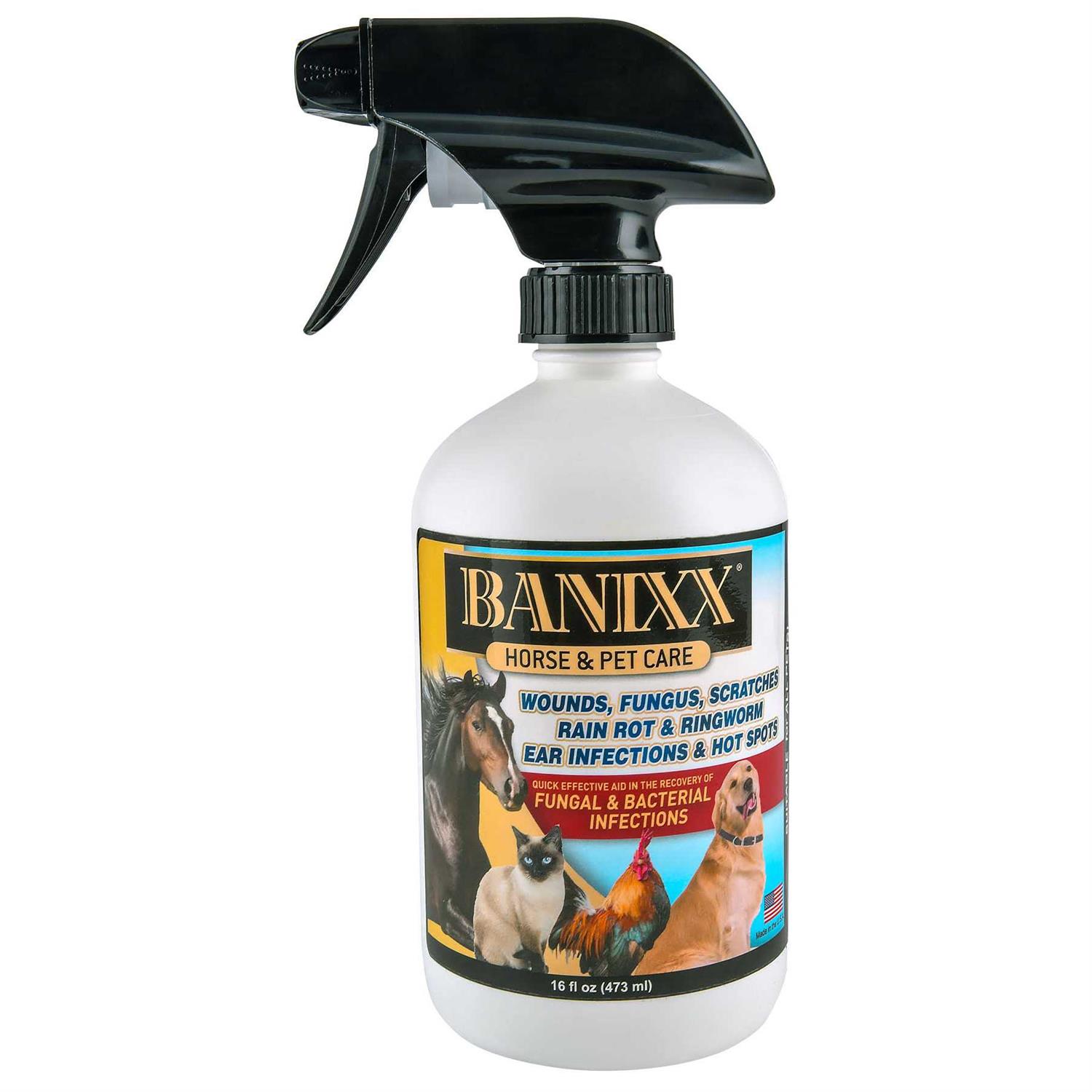 Banixx Horse & Pet Care - Nail Gallerys