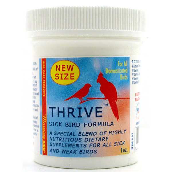 Morning Bird Thrive - Nail Gallerys