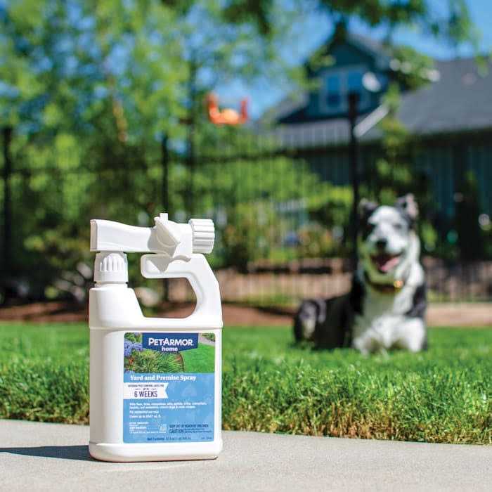 PetArmor Home Flea & Tick Yard & Premise Spray - Nail Gallerys