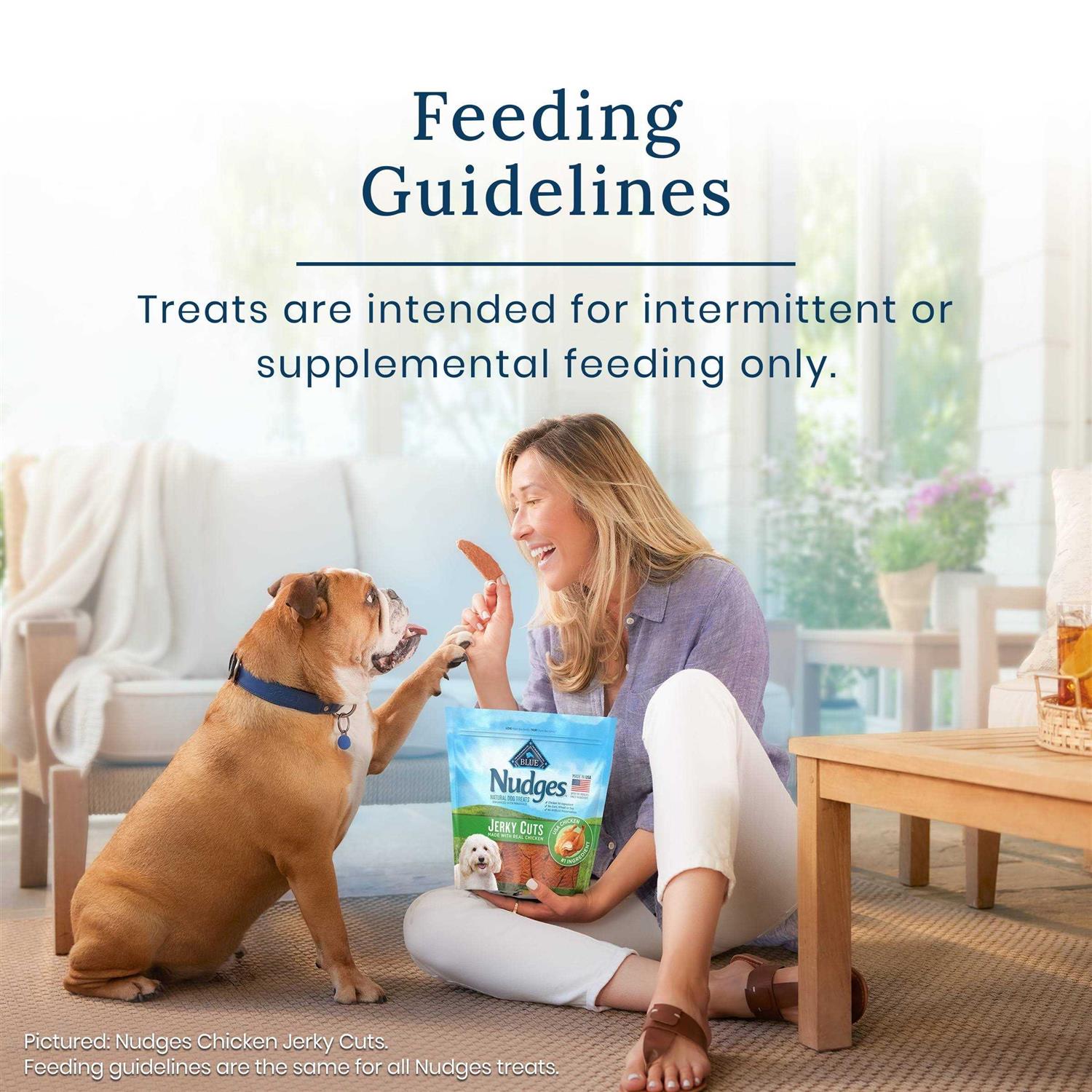 Blue Buffalo Nudges Homestyle Chicken Natural Dog Treats - Nail Gallerys