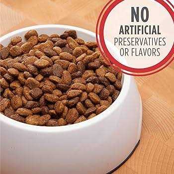 Iams Proactive Health Adult Dry Dog Food Lamb Rice - Nail Gallerys