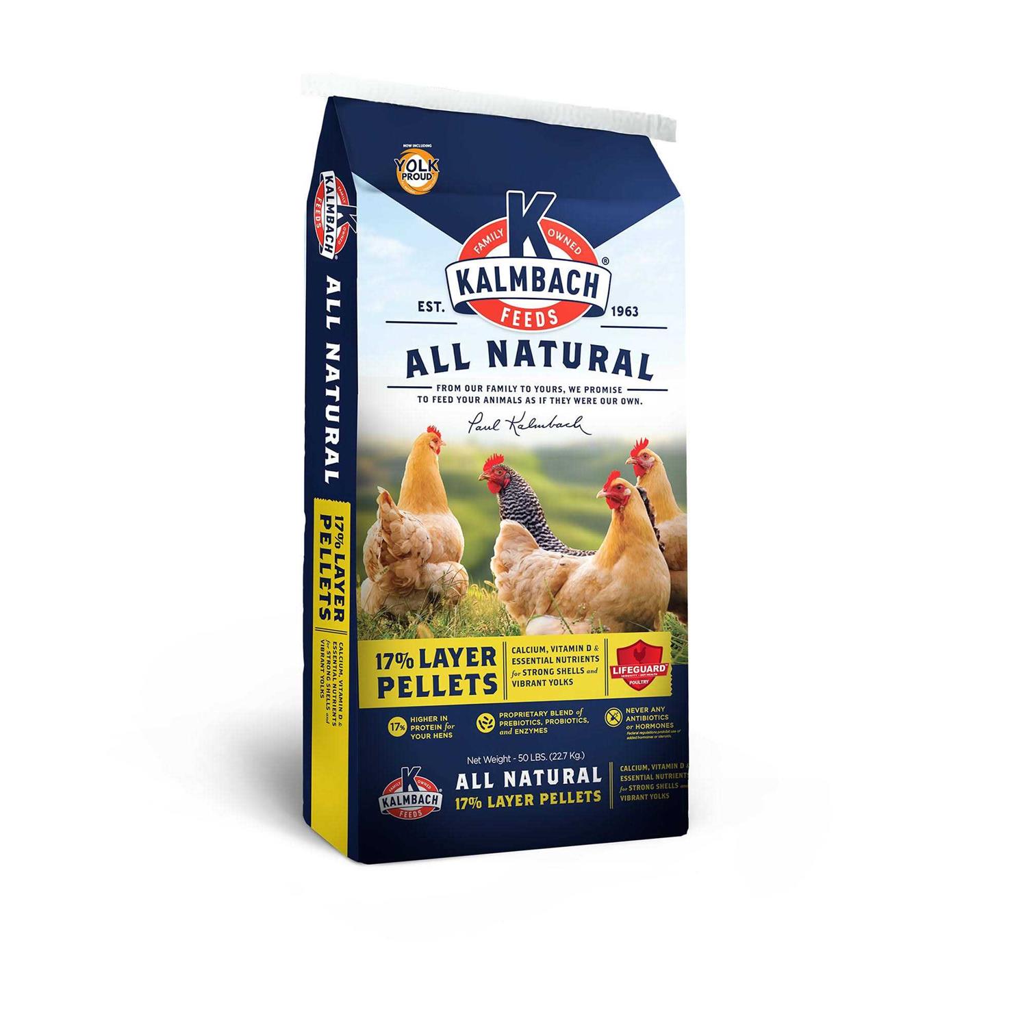 Top Fin Algae Thins Fish Food - Nail Gallerys