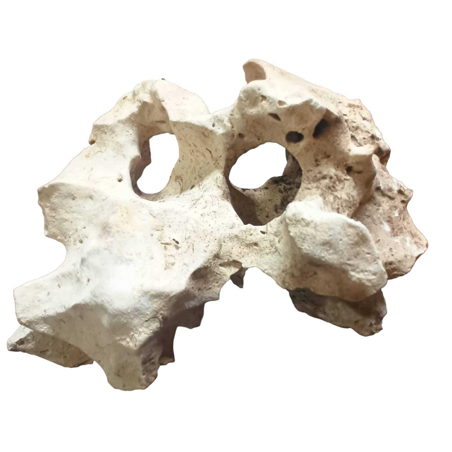 Texas Holey Rock Aquarium Decor for Fish and Aquatic Pets to Swim and Hide - Nail Gallerys