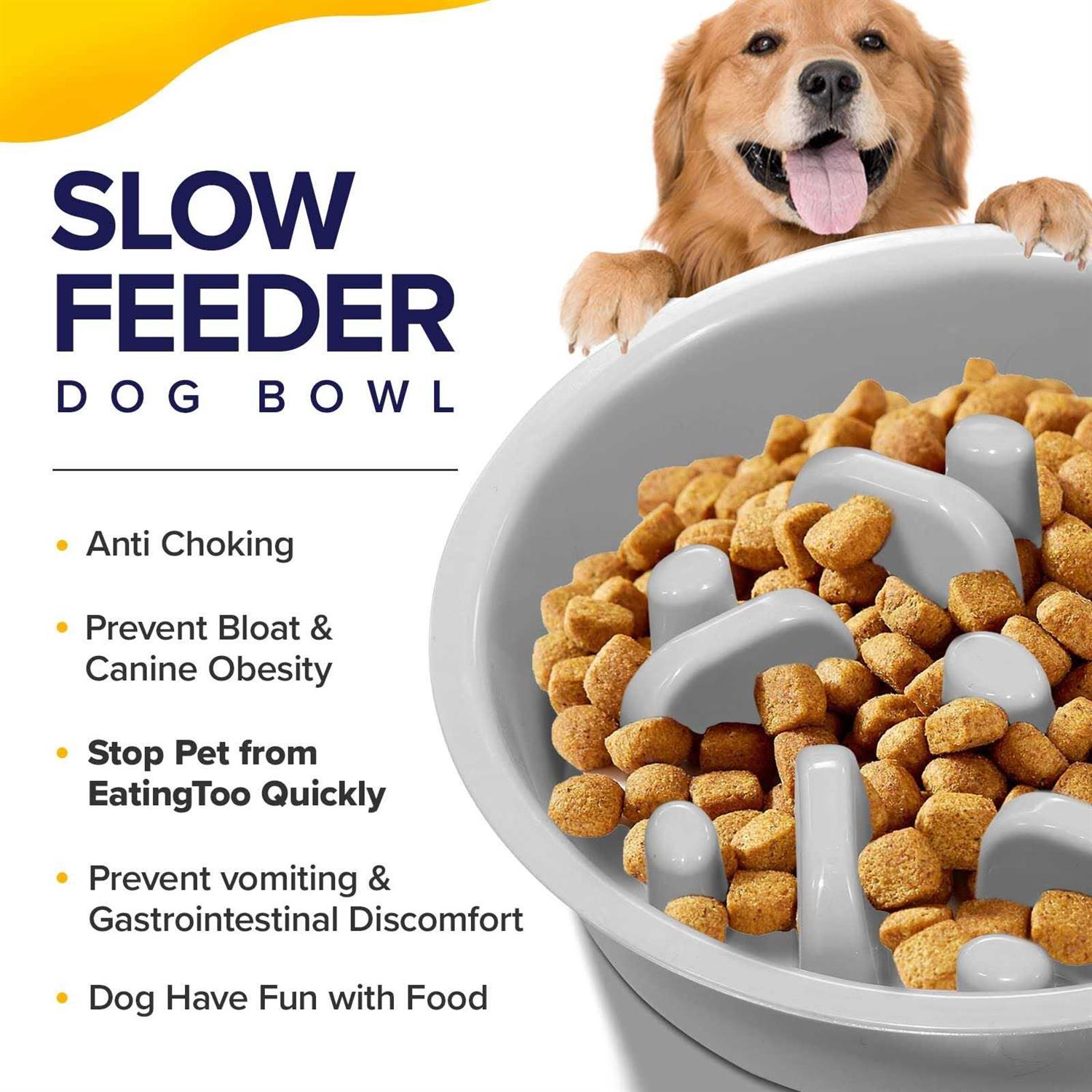 Ciconira Metal Elevated Dog Bowls with Slow Feeder & Spillproof Mat 8°Tilted Raised Dog Bowl Stand with Two 1.3L Stainless Steel Food Water Bowls,4 - Nail Gallerys