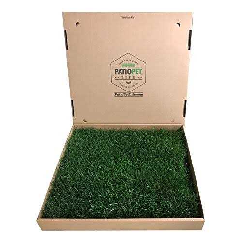 Patio Pet Life Real Grass Potty - Nail Gallerys