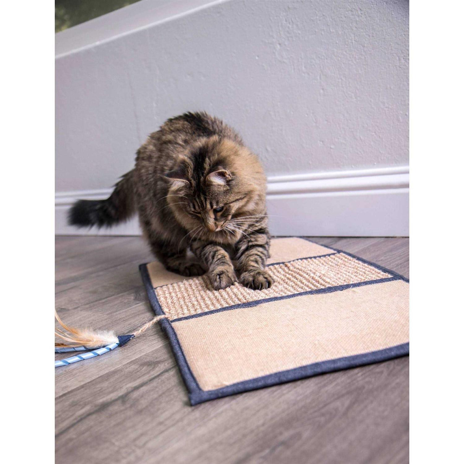 Petlinks Scratch & Play Cat Mat - Nail Gallerys