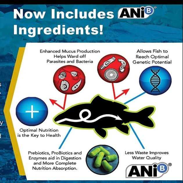 Blackwater Max Growth Medium Pellet Food - Nail Gallerys