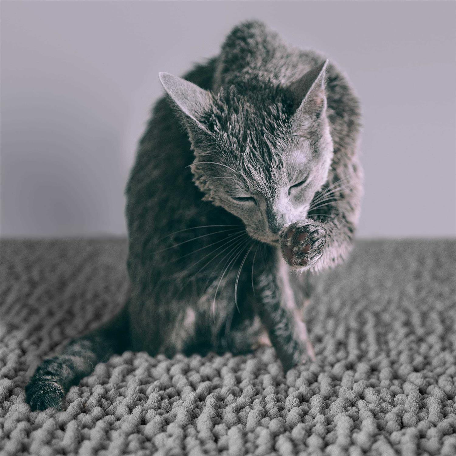 CatGuru Cat Litter Mat Medium Extra Large XXL Waterproof Litter Box Mat - Nail Gallerys