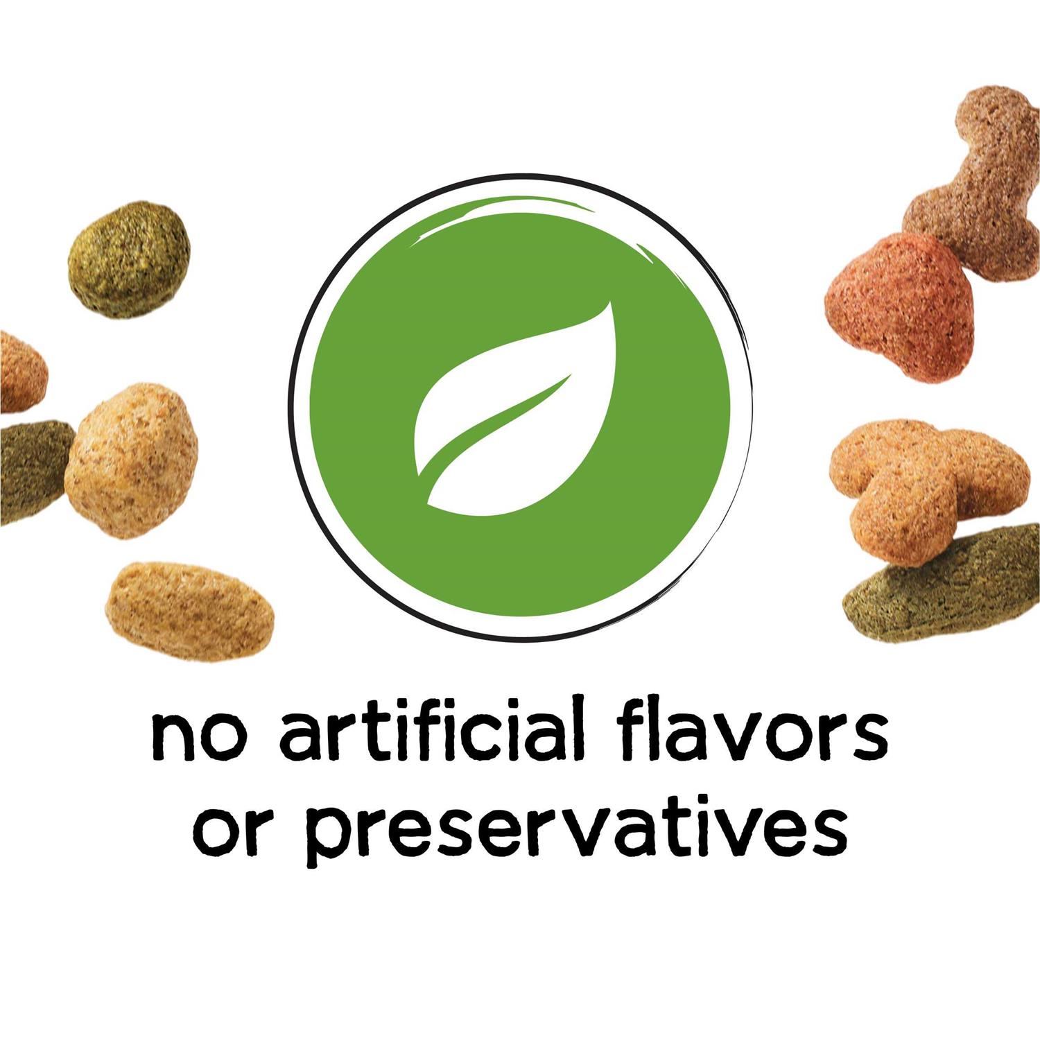 Purina Beneful Healthy Weight Dry Dog Food Chicken - Nail Gallerys