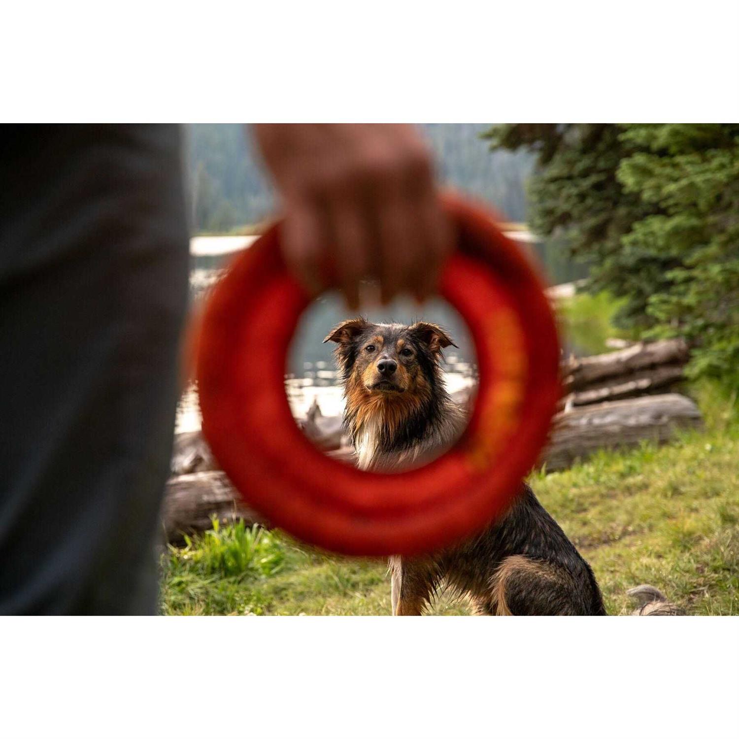 Ruffwear Hydro Plane Toy - Nail Gallerys