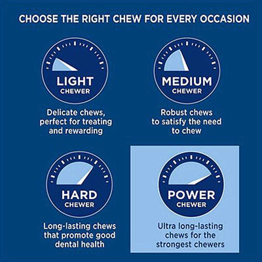 Barkworthies Shin Bone Stuffed - Nail Gallerys