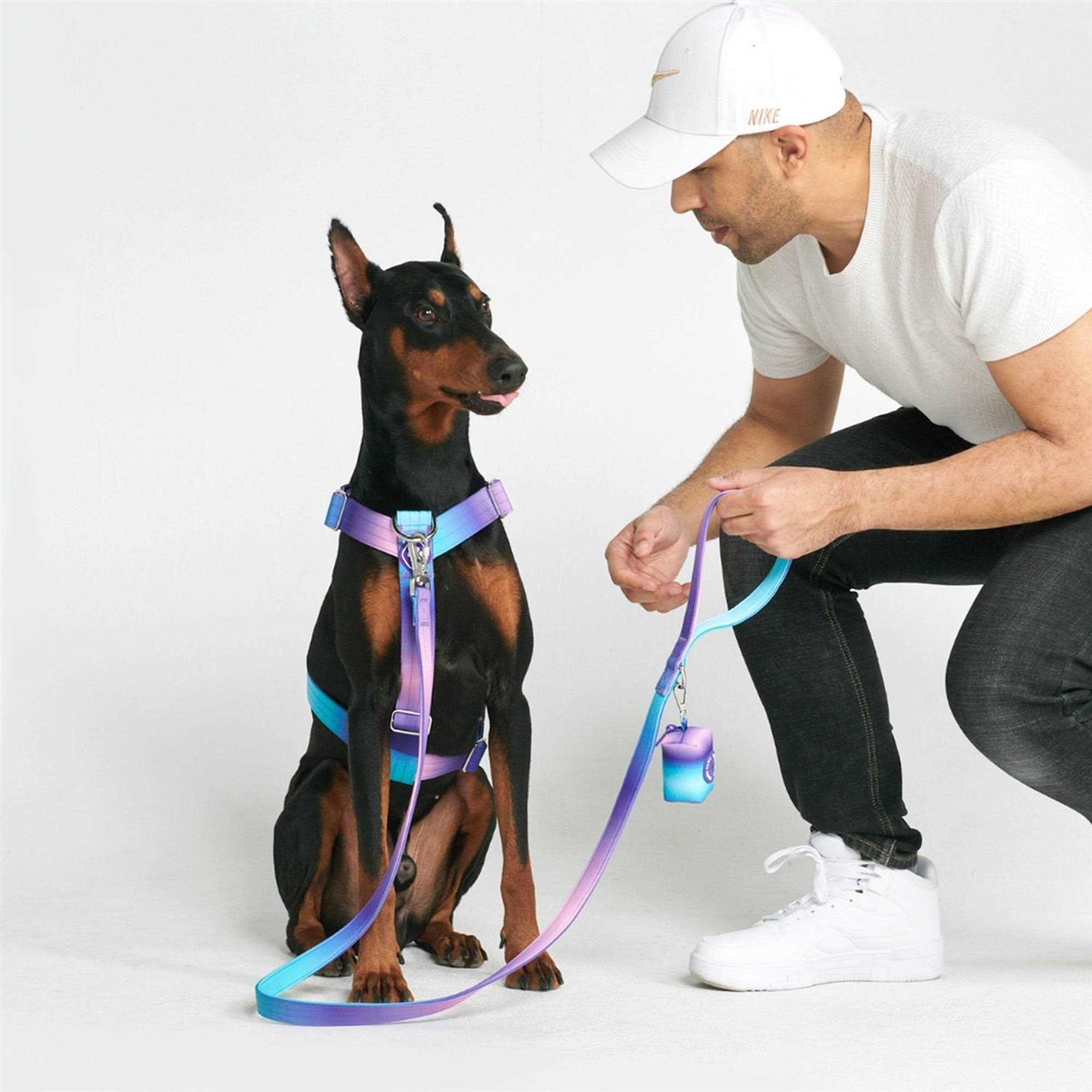 Spark Paws No-Pull Dog Harness Designed for Safety and Control - Nail Gallerys