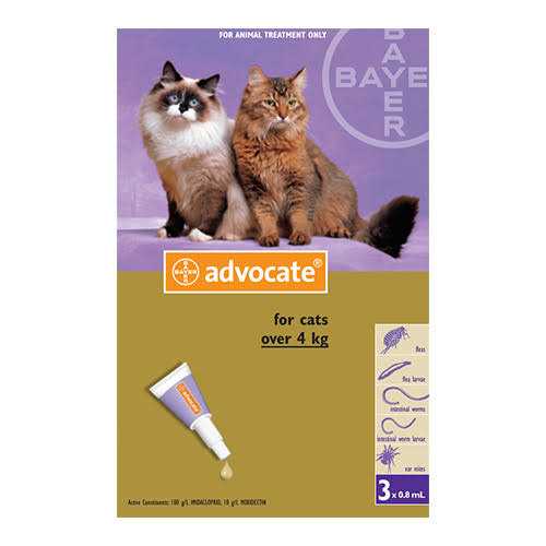 Advocate for Large Cat over 4kg - Nail Gallerys