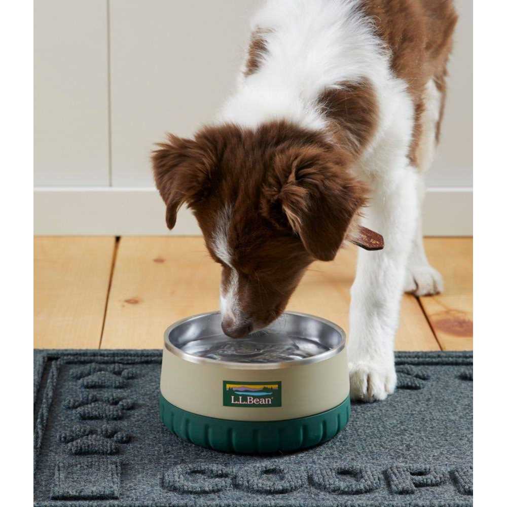 L.L.Bean Insulated Dog Bowl - Nail Gallerys