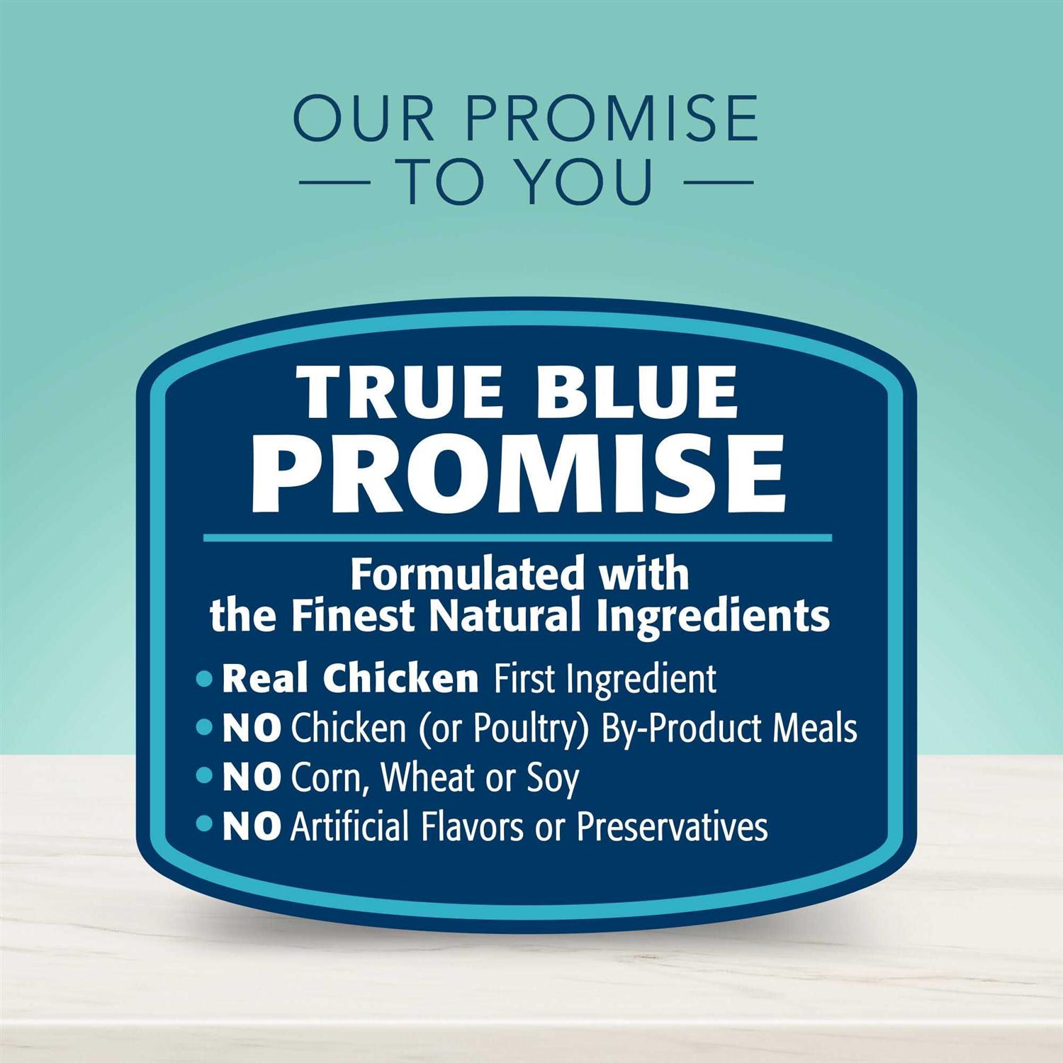 Blue Buffalo True Solutions Small & Mighty Natural Small Breed Adult Dry Dog Food - Nail Gallerys