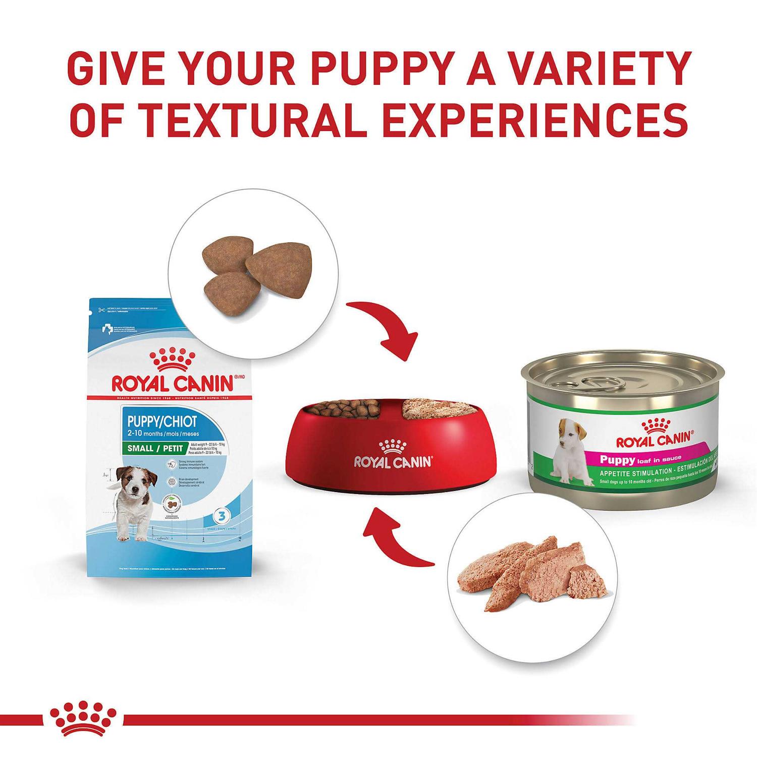 Royal Canin Size Health Nutrition Small Puppy Dry Dog Food - Nail Gallerys