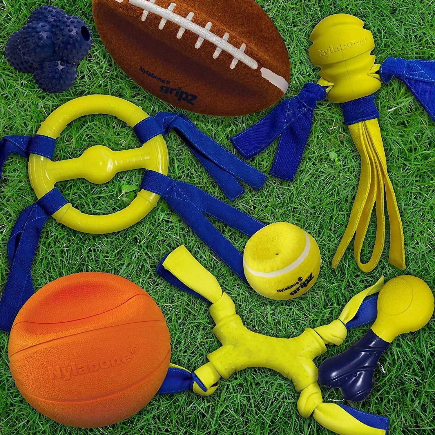 Nylabone Power Play Football Gripz Dog Toy - Nail Gallerys