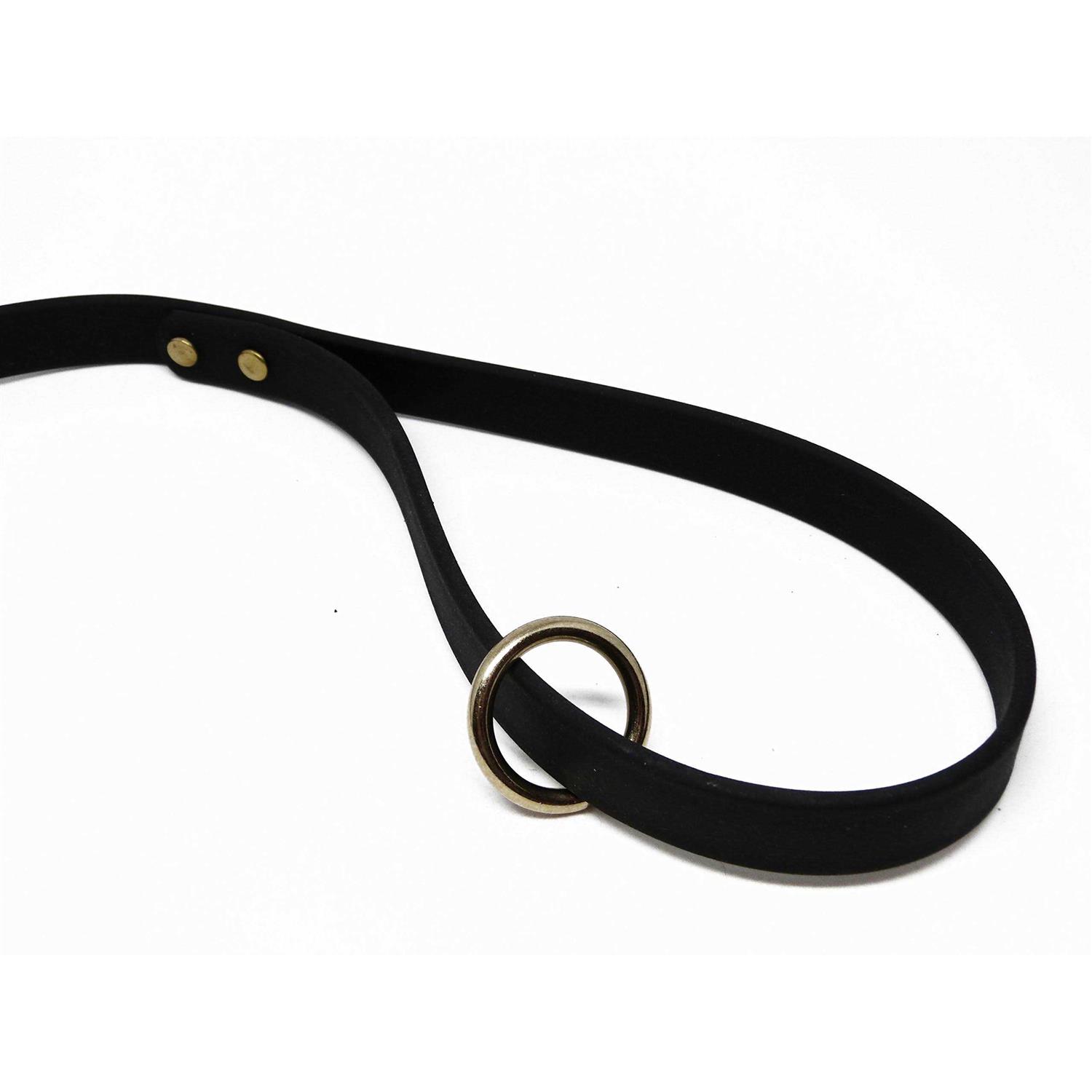 Jim Hodges Dog Training gummy Dog Leash Biothane Dog Training Leash - Nail Gallerys