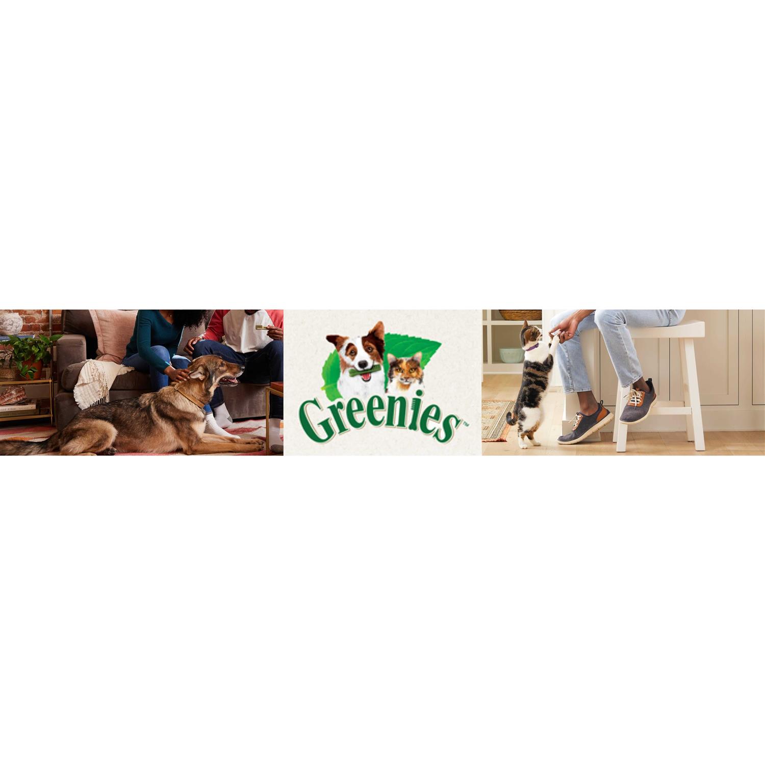 Greenies Puppy Dental Dog Treats - Nail Gallerys