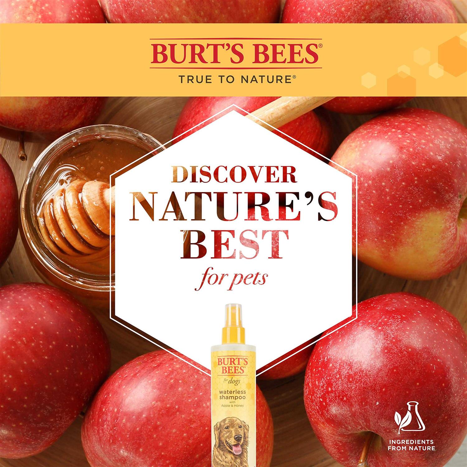 Burt’s Bees Waterless Shampoo with Apple & Honey - Nail Gallerys