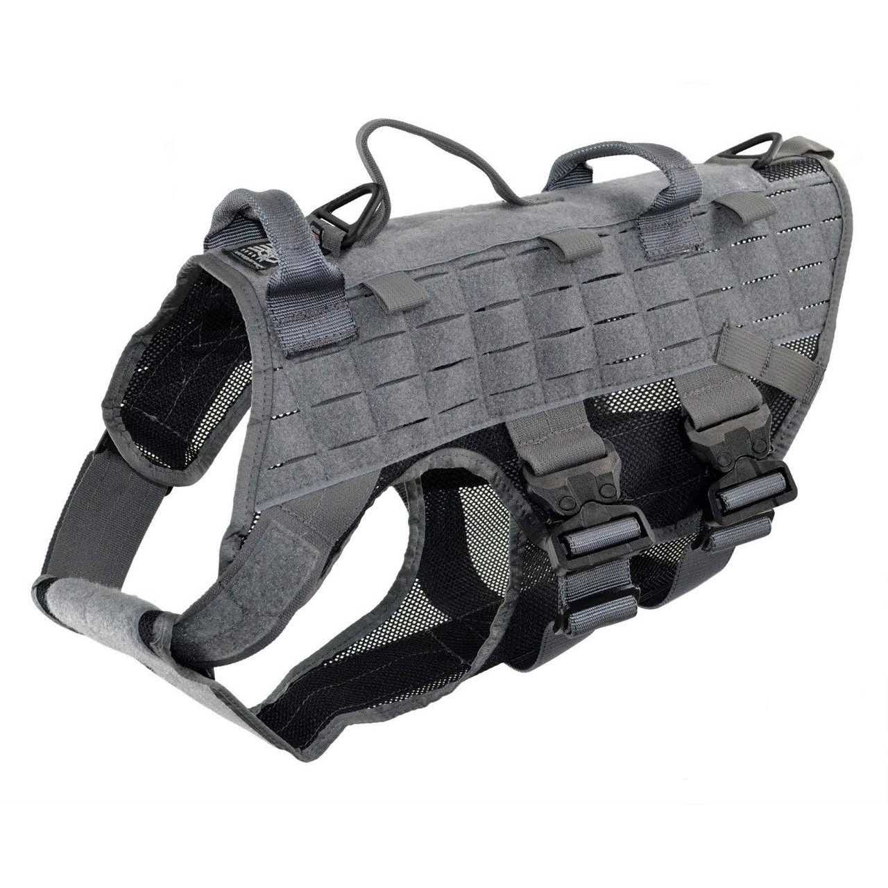 Icon Harness - Nail Gallerys