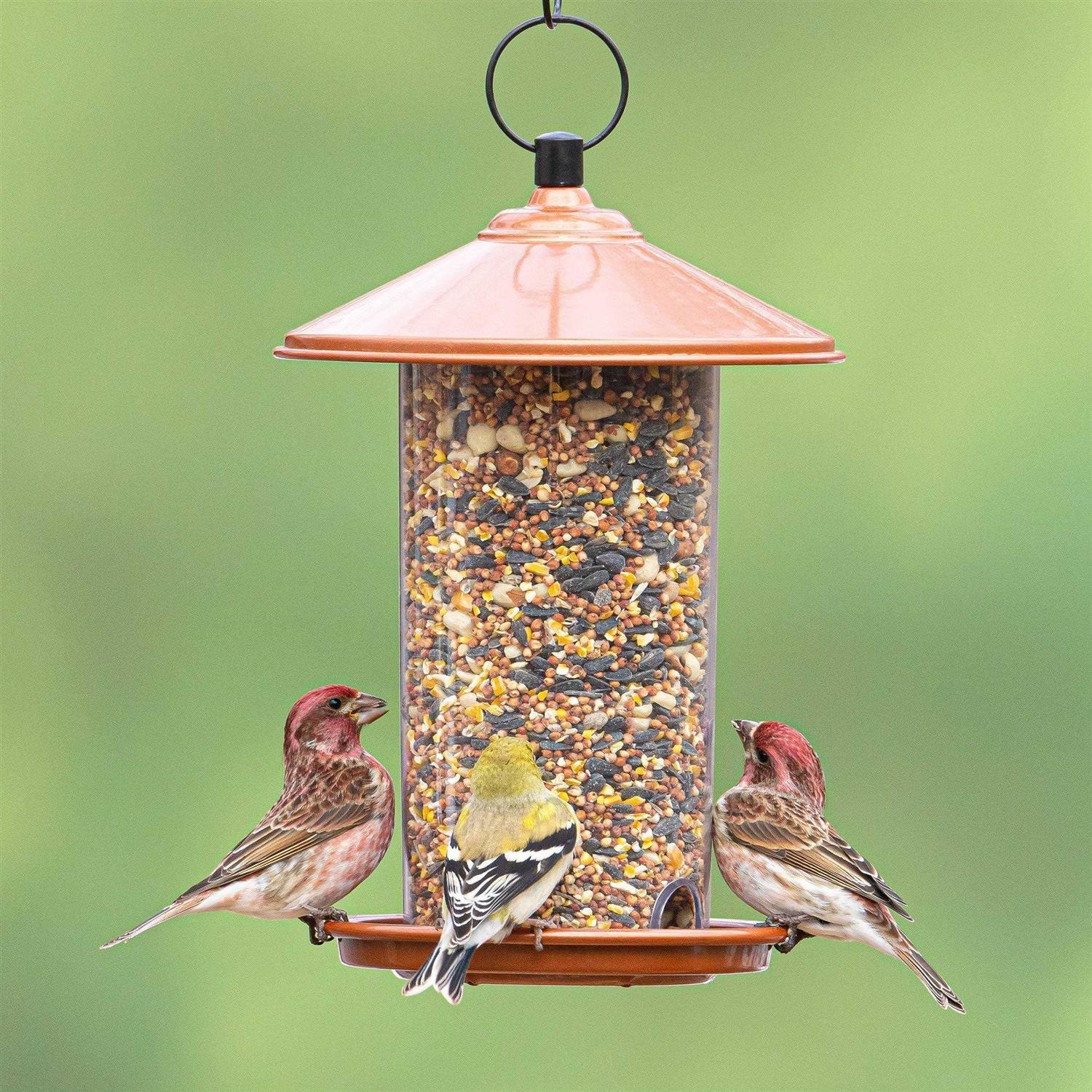 Global Harvest Food Audubon Peanut & Sunflower Wild Bird Feed - Nail Gallerys