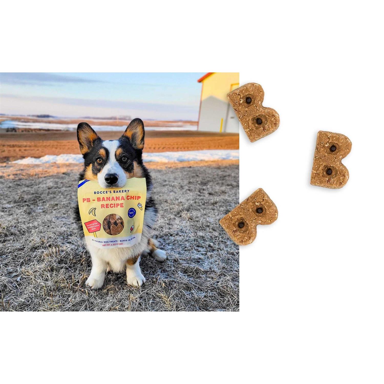 Bocce’s Bakery PB Banana Chip Soft & Chewy Dog Treats - Nail Gallerys
