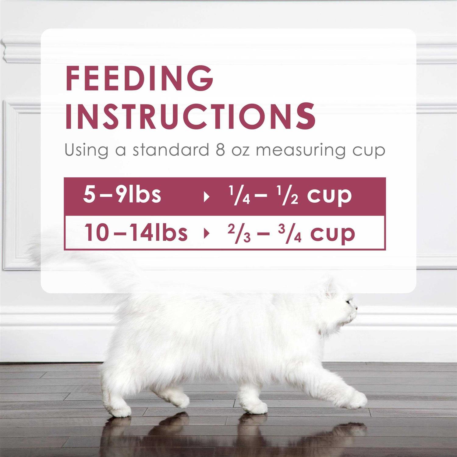 Fancy Feast Dry Cat Food Filet Mignon Flavor with Seafood & Shrimp - Nail Gallerys