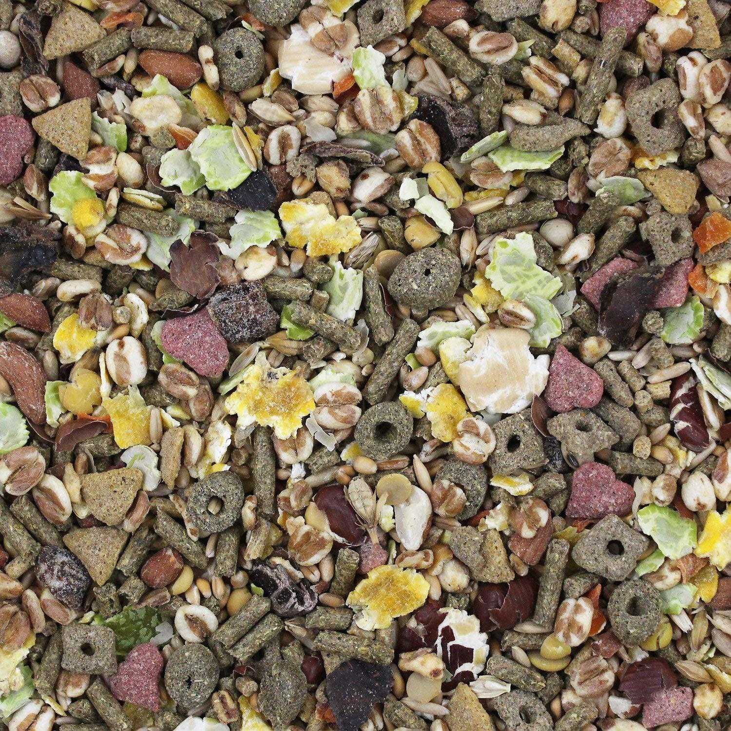 Vitakraft Vita Smart Complete Nutrition Natural Forage Blend Rat - Nail Gallerys