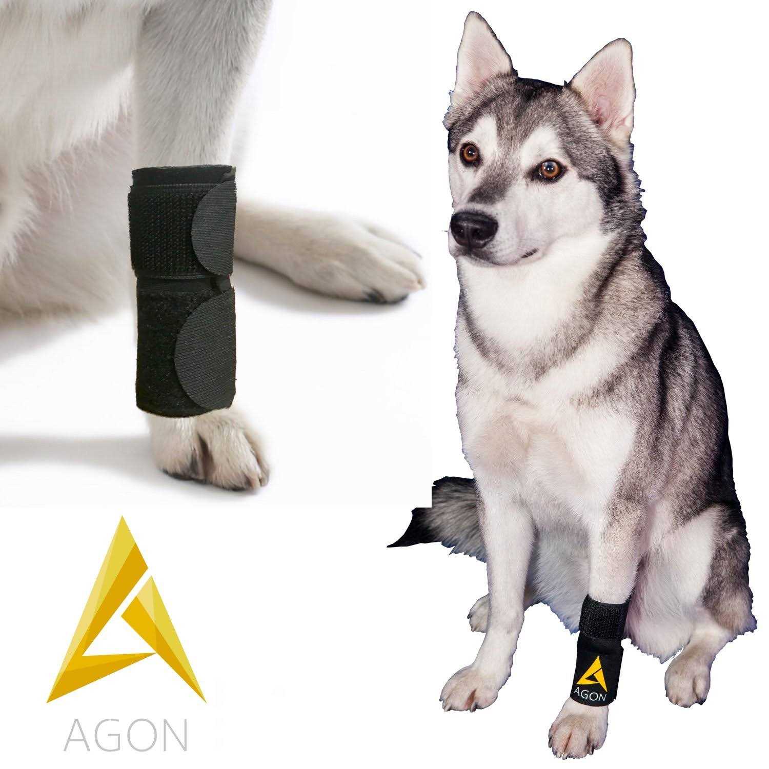 Pair Agon Dog Canine Front Leg Brace Paw Compression Wraps with Protects Wounds - Nail Gallerys