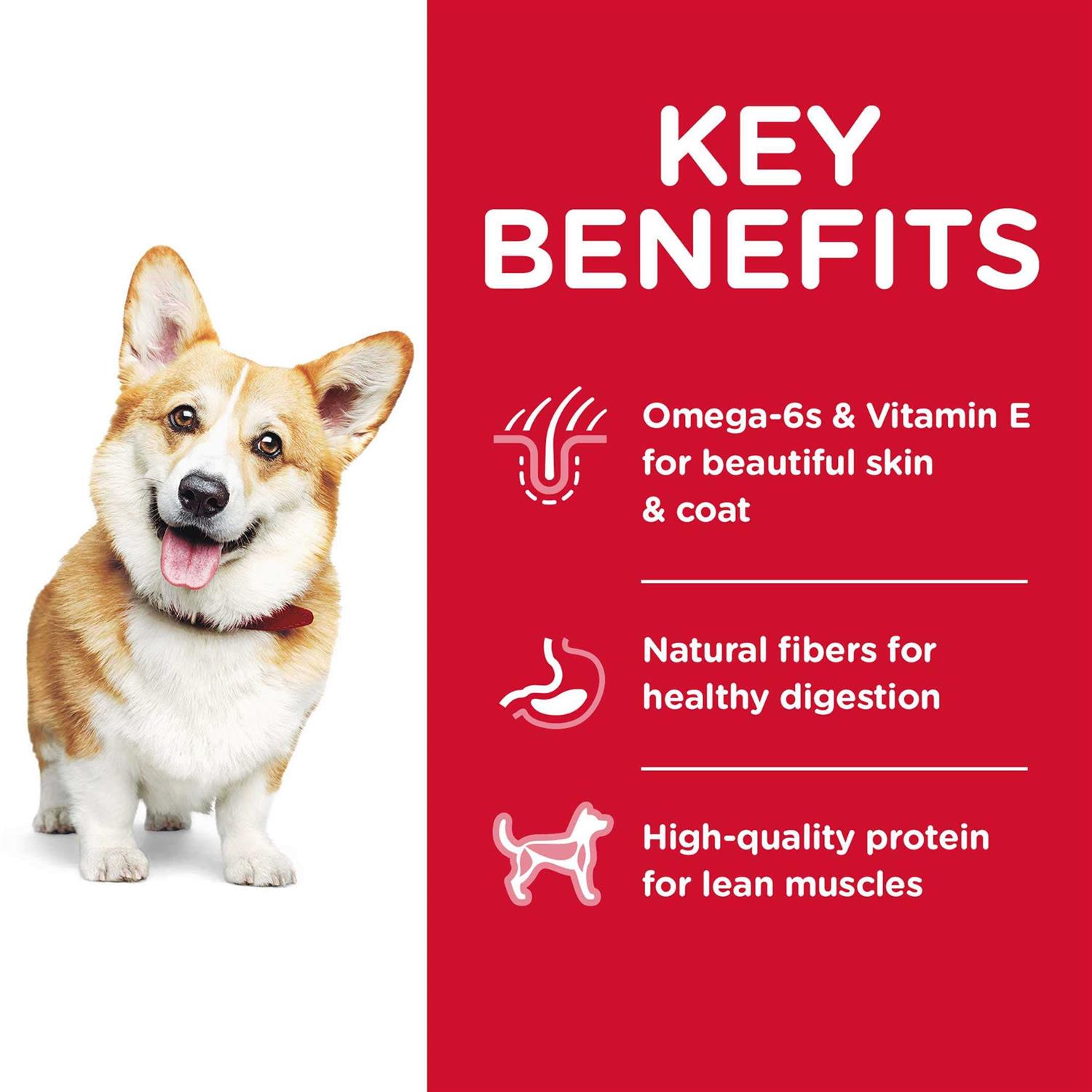 Science Diet Dog Food Recipe - Nail Gallerys